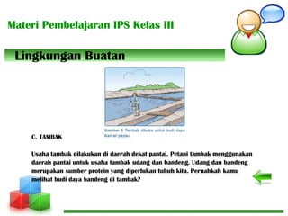 Materi Pembelajaran IPS Kelas III
C. TAMBAK
Usaha tambak dilakukan di daerah dekat pantai. Petani tambak menggunakan
daerah pantai untuk usaha tambak udang dan bandeng. Udang dan bandeng
merupakan sumber protein yang diperlukan tubuh kita. Pernahkah kamu
melihat budi daya bandeng di tambak?
Lingkungan Buatan
 