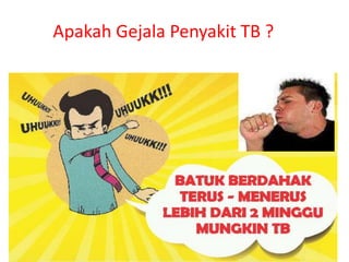 Apakah Gejala Penyakit TB ?
 