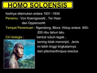 HOMO SOLOENSIS
fosilnya ditemukan antara 1931 -1934
Penemu : Von Koenigswald , Ter Haar
dan Oppenoorth
Tempat Penemuan : Ngandong, Blora. Hidup antara 900200 ribu tahun lalu.
Ciri biologis :
bentuk tubuh tegak ,
kening tidak menonjol. Jenis
ini lebih tinggi tingkatannya
dari pitechanthropus erectus

 