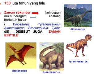 • 150 juta tahun yang lalu

kehidupan
• Zaman sekunder
mulai beragam
Binatang
bertubuh besar
(
Dinosaurus,
Tyrannosaurus,
Atlantasaurus, Brontosaurus, Tyrex,
dll)
DISEBUT JUGA
ZAMAN
REPTILE

dinosaurus

tyrannosaurus
pteranodon

brontosaurus

 