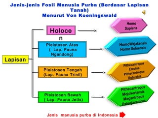 Jenis-jenis Fosil Manusia Purba (Berdasar Lapisan
Tanah)
Menurut Von Koeningswald

Holoce
n
Lapisan

Pleistosen Atas
( Lap. Fauna
Ngandong)

Pleistosen Tengah
(Lap. Fauna Trinil)

Pleistosen Bawah
( Lap. Fauna Jetis)

Jenis manusia purba di Indonesia

 
