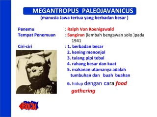 MEGANTROPUS PALEOJAVANICUS
(manusia Jawa tertua yang berbadan besar )

Penemu
Tempat Penemuan
Ciri-ciri

: Ralph Von Koenigswald
: Sangiran (lembah bengawan solo )pada
1941
: 1. berbadan besar
2. kening menonjol
3. tulang pipi tebal
4. rahang besar dan kuat
5. makanan utamanya adalah
tumbuhan dan buah buahan
6. hidup dengan

gathering

cara food

 