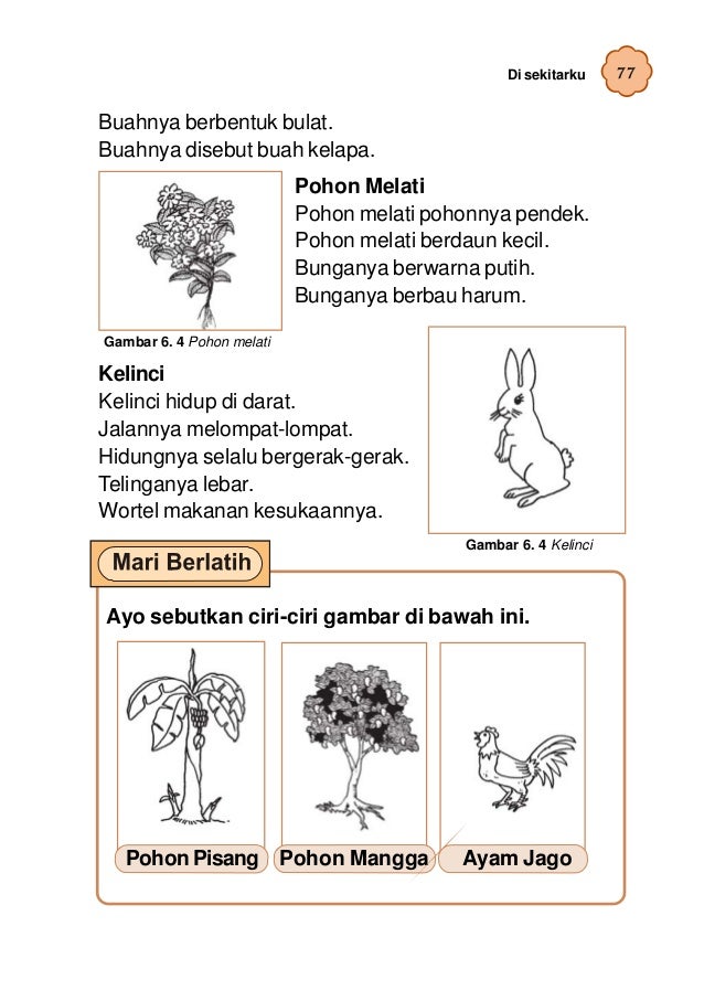 Bahasa Indonesia Kelas 2 53810566