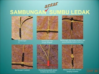 SAMBUNGAN SUMBU LEDAK
Sambungan
“L”
Simpul mati untuk memper-
panjang trunkline
Penyambung plastik antara
trunkline dan downline
Sambungan 3 putaran
Sambungan ikat bunga cengkeh dgn
ujung diseloitip kearah downline
Sambungan ikat
bunga cengkeh
OHT 28

 
