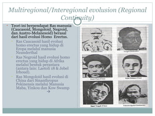 Multiregional/Interegional evolusion (Regional
                     Continuity)
•   Teori ini berpendapat Ras manusia
    (Caucasoid, Mongoloid, Negroid,
    dan Austro-Melanesoid) berasal
    dari hasil evolusi Homo Erectus.
    • Ras Caucasoid hasil evolusi
      homo erectus yang hidup di
      Eropa melalui manusia
      Neanderthal
    • Ras Negroid hasil evolusi homo
      erectus yang hidup di Afrika
      melalui bentuk perantara
      (antara lain: Laetoli 18 & Jebel
      Irhoud).
    • Ras Mongoloid hasil evolusi di
      China dari Sinanthropus
      Pekinensis melalui Manusia
      Maba, Yinkou dan Kow Swamp
                         
 