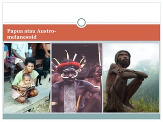 Papua atau Austro-
melanesoid
 