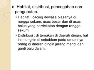 d. Habitat, distribusi, pencegahan dan
pengobatan.
 Habitat : cacing dewasa biasanya di
rongga sekum, usus besar dan di usus
halus yang berdekatan dengan rongga
sekum.
 Distribusi : di temukan di daerah dingin, hal
ini mungkin di sebabkan pada umumnya
orang di daerah dingin jarang mandi dan
ganti baju dalam.
 