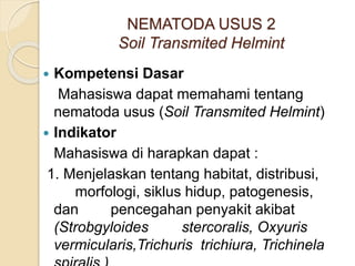 NEMATODA USUS 2
Soil Transmited Helmint
 Kompetensi Dasar
Mahasiswa dapat memahami tentang
nematoda usus (Soil Transmited Helmint)
 Indikator
Mahasiswa di harapkan dapat :
1. Menjelaskan tentang habitat, distribusi,
morfologi, siklus hidup, patogenesis,
dan pencegahan penyakit akibat
(Strobgyloides stercoralis, Oxyuris
vermicularis,Trichuris trichiura, Trichinela
 
