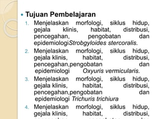  Tujuan Pembelajaran
1. Menjelaskan morfologi, siklus hidup,
gejala klinis, habitat, distribusi,
pencegahan, pengobatan dan
epidemiologiStrobgyloides stercoralis.
2. Menjelaskan morfologi, siklus hidup,
gejala klinis, habitat, distribusi,
pencegahan,pengobatan dan
epidemiologi Oxyuris vermicularis.
3. Menjelaskan morfologi, siklus hidup,
gejala klinis, habitat, distribusi,
pencegahan,pengobatan dan
epidemiologi Trichuris trichiura
4. Menjelaskan morfologi, siklus hidup,
gejala klinis, habitat, distribusi,
 