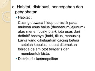 d. Habitat, distribusi, pencegahan dan
pengobatan
 Habitat :
Cacing dewasa hidup parasitik pada
mukosa usus halus (duodenum/jejunum)
atau menembuskripta-kripta usus dari
definitif hostnya (babi, tikus, manusia).
Larva yang dikeluarkan cacing betina
setelah kopulasi, dapat ditemukan
berada dalam otot bergaris dan
membentuk kista.
 Distribusi : kosmopolitan
 
