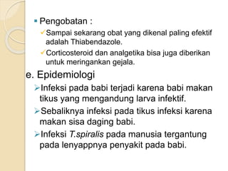  Pengobatan :
Sampai sekarang obat yang dikenal paling efektif
adalah Thiabendazole.
Corticosteroid dan analgetika bisa juga diberikan
untuk meringankan gejala.
e. Epidemiologi
Infeksi pada babi terjadi karena babi makan
tikus yang mengandung larva infektif.
Sebaliknya infeksi pada tikus infeksi karena
makan sisa daging babi.
Infeksi T.spiralis pada manusia tergantung
pada lenyappnya penyakit pada babi.
 
