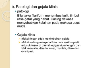 b. Patologi dan gejala klinis
 patologi
Bila larva filariform menembus kulit, timbul
rasa gatal yang hebat. Cacing dewasa
menyebabkan kelainan pada mukosa usus
muda.
 Gejala klinis
Infeksi ringan tidak menimbulkan gejala
Infeksi sedang menyebabkan rasa sakit seperti
tertusuk-tusuk di daerah epigastrium tengah dan
tidak menjalar, disertai mual, muntah, diare dan
konstipasi.
 