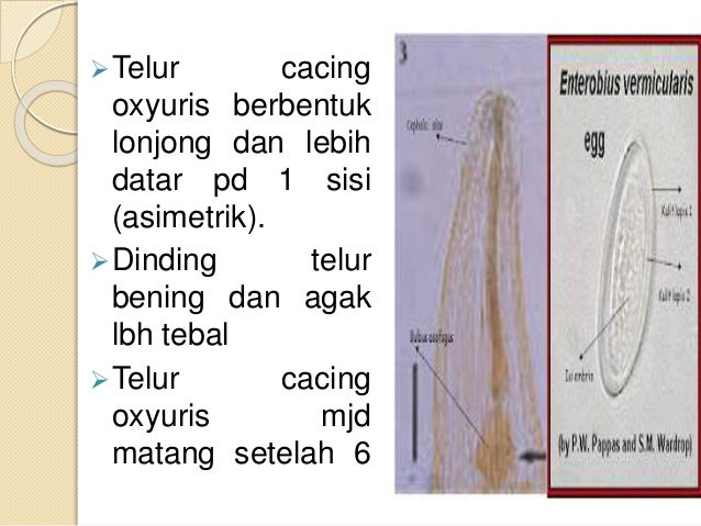 Materi 4