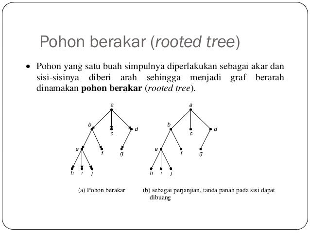 Contoh Soal Dan Jawaban Matriks Bersisian Matematika