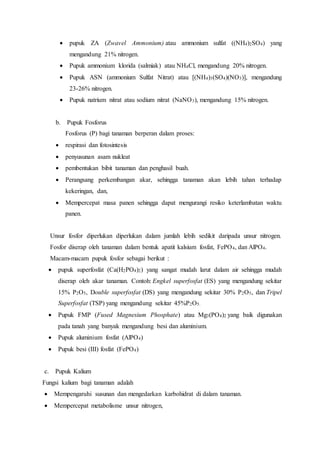  pupuk ZA (Zwavel Ammonium) atau ammonium sulfat ((NH4)2SO4) yang
mengandung 21% nitrogen.
 Pupuk ammonium klorida (salmiak) atau NH4Cl, mengandung 20% nitrogen.
 Pupuk ASN (ammonium Sulfat Nitrat) atau [(NH4)3(SO4)(NO3)], mengandung
23-26% nitrogen.
 Pupuk natrium nitrat atau sodium nitrat (NaNO3), mengandung 15% nitrogen.
b. Pupuk Fosforus
Fosforus (P) bagi tanaman berperan dalam proses:
 respirasi dan fotosintesis
 penyusunan asam nukleat
 pembentukan bibit tanaman dan penghasil buah.
 Perangsang perkembangan akar, sehingga tanaman akan lebih tahan terhadap
kekeringan, dan,
 Mempercepat masa panen sehingga dapat mengurangi resiko keterlambatan waktu
panen.
Unsur fosfor diperlukan diperlukan dalam jumlah lebih sedikit daripada unsur nitrogen.
Fosfor diserap oleh tanaman dalam bentuk apatit kalsium fosfat, FePO4, dan AlPO4.
Macam-macam pupuk fosfor sebagai berikut :
 pupuk superfosfat (Ca(H2PO4)2) yang sangat mudah larut dalam air sehingga mudah
diserap oleh akar tanaman. Contoh: Engkel superfosfat (ES) yang mengandung sekitar
15% P2O5, Double superfosfat (DS) yang mengandung sekitar 30% P2O5, dan Tripel
Superfosfat (TSP) yang mengandung sekitar 45%P2O5.
 Pupuk FMP (Fused Magnesium Phosphate) atau Mg3(PO4)2 yang baik digunakan
pada tanah yang banyak mengandung besi dan aluminium.
 Pupuk aluminium fosfat (AlPO4)
 Pupuk besi (III) fosfat (FePO4)
c. Pupuk Kalium
Fungsi kalium bagi tanaman adalah
 Mempengaruhi susunan dan mengedarkan karbohidrat di dalam tanaman.
 Mempercepat metabolisme unsur nitrogen,
 