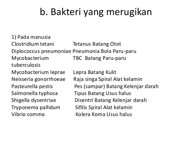 Materi#6 bakteri