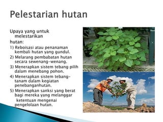 Upaya yang untuk
melestarikan
hutan:
1) Reboisasi atau penanaman
kembali hutan yang gundul.
2) Melarang pembabatan hutan
secara sewenang-wenang.
3) Menerapkan sistem tebang pilih
dalam menebang pohon.
4) Menerapkan sistem tebang–
tanam dalam kegiatan
penebanganhutan.
5) Menerapkan sanksi yang berat
bagi mereka yang melanggar
ketentuan mengenai
pengelolaan hutan.
 