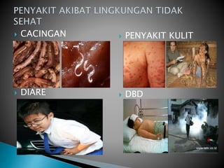  CACINGAN
 DIARE
 PENYAKIT KULIT
 DBD
 