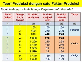 Teori Produksi dengan satu Faktor Produksi 
Tabel: Hubungan Jmlh Tenaga Kerja dan Jmlh Produksi 
Tanah 
(hektar) 
Tenaga 
kerja 
(orang) 
Produksi 
total (unit) 
Produksi 
marjinal 
(unit) 
Produksi 
rata-rata 
(unit) 
Tahap 
(1) (2) (3) (4) (5) (6) 
1 
1 
150 
150 
150 
1 
2 
400 
250 
200 
1 
3 
810 
410 
270 
Pertama 
1 
1 
1 
1 
1 
4 
5 
6 
7 
8 
1.080 
1.290 
1.440 
1.505 
1.520 
270 
210 
150 
65 
15 
270 
258 
240 
215 
180 
Ke dua 
1 
1 
9 
10 
1.440 
1.300 
- 80 
- 140 
160 
130 
Ke tiga 
 