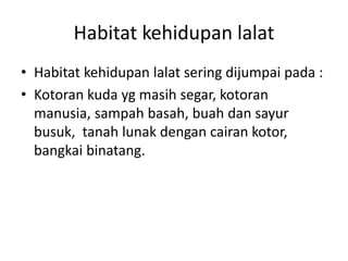 Habitat kehidupan lalat
• Habitat kehidupan lalat sering dijumpai pada :
• Kotoran kuda yg masih segar, kotoran
manusia, sampah basah, buah dan sayur
busuk, tanah lunak dengan cairan kotor,
bangkai binatang.
 