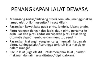 PENANGKAPAN LALAT DEWASA
• Memasang kertas/ lidi yang diberi lem, atau menggunakan
lampu eletronik (mosquito / insect killer).
• Pasangkan kawat kasa pada pintu, jendela, lubang angin,
• Pintu ruangan dengan dua lapis, daun pintu pertama ke
arah luar dan pintu kedua merupakan pintu kassa yang
otomatis dapat membuka dan menutup sendiri.
• Pasangkan trai angin yang kencang mengalir kebawah
pintu, sehingga lalat/ serangga terjatuh bila masuk ke
dalam ruangan,
• Racun lalat juga efektif untuk menjebak lalat , hindari
makanan dan air harus ditutup / dipindahkan).
 