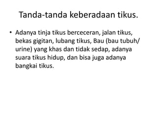 Tanda-tanda keberadaan tikus.
• Adanya tinja tikus berceceran, jalan tikus,
bekas gigitan, lubang tikus, Bau (bau tubuh/
urine) yang khas dan tidak sedap, adanya
suara tikus hidup, dan bisa juga adanya
bangkai tikus.
 