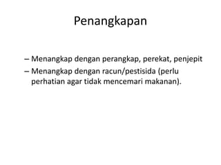 Penangkapan
– Menangkap dengan perangkap, perekat, penjepit
– Menangkap dengan racun/pestisida (perlu
perhatian agar tidak mencemari makanan).
 