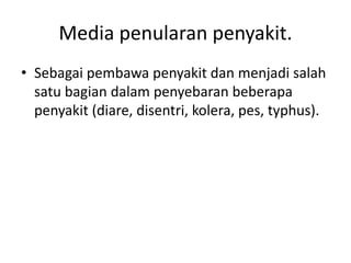 Media penularan penyakit.
• Sebagai pembawa penyakit dan menjadi salah
satu bagian dalam penyebaran beberapa
penyakit (diare, disentri, kolera, pes, typhus).
 