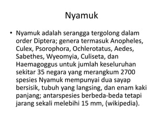 Nyamuk
• Nyamuk adalah serangga tergolong dalam
order Diptera; genera termasuk Anopheles,
Culex, Psorophora, Ochlerotatus, Aedes,
Sabethes, Wyeomyia, Culiseta, dan
Haemagoggus untuk jumlah keseluruhan
sekitar 35 negara yang merangkum 2700
spesies Nyamuk mempunyai dua sayap
bersisik, tubuh yang langsing, dan enam kaki
panjang; antarspesies berbeda-beda tetapi
jarang sekali melebihi 15 mm, (wikipedia).
 