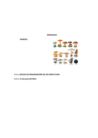 MICOLOGIA
HONGOZ
Tema: NIVELES DE ORGANIZACIÓN DE LOS SERES VIVOS.
Fecha: 11 de junio del 2013
 