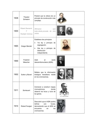 1838
Theodor
Schwann
Postuló que la célula era un
principio de construcción más
complejo.
1855
Robert Remarck
y
Rudolph Virchow
Afirmaron que
toda célula procede de otra
célula.
1865 Gregor Mendel
Establece dos principios:
 1ra ley o principio de
segregación.
 2da ley o principio de
distribución
independiente.
1869
Friedrich
Miescher
Aisló el ácido
desoxirribonucleico (ADN).
1902 Sutton y Boveri
Refiere que la información
biológica hereditaria reside
en los cromosomas.
1911 Sturtevant
Comenzó a construir mapas
cromosómicos donde
observó los locus y lucis de
los genes.
1914 Robert Feulgen
Descubrió que el ADN podría
teñirse con fucsia,
demostrando que el ADN se
encuentra en los
cromosomas.
 