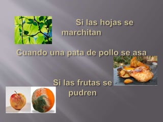 Materia.moléculas.átomos.energía.ciclo  