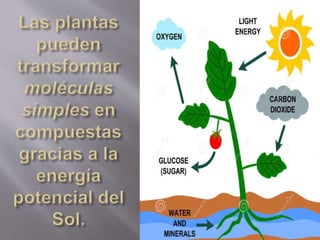 Materia.moléculas.átomos.energía.ciclo  