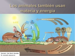 Materia.moléculas.átomos.energía.ciclo  