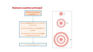 Número principal o
energético (n)
Indica la distancia entre el núcleo y
el electrón.
Permite establecer el tamaño del
orbital.
Se visualiza en la forma de capas
alrededor del núcleo.
n = 1, 2, 3, 4,…, ∞
Número cuántico principal
 