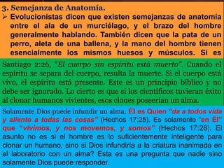 3. Semejanza de Anatomía.
 Evolucionistas dicen que existen semejanzas de anatomía
entre el ala de un murciélago, y el brazo del hombre
generalmente hablando. También dicen que la pata de un
perro, aleta de una ballena, y la mano del hombre tienen
esencialmente los mismos huesos y músculos. Sí es
verdad, sí existen semejanzas.
Santiago 2:26, “El cuerpo sin espíritu está muerto”. Cuando el
espíritu se separa del cuerpo, resulta la muerte. Si el cuerpo está
vivo, el espíritu está presente. Este es un principio bíblico y no
debe ser ignorado. Lo cierto es que si los científicos tuvieran éxito
al clonar humanos vivientes, esos clones poseerían un alma.
Solamente Dios puede infundir un alma. Él es Quien “da a todos vida
y aliento a todas las cosas” (Hechos 17:25). Es solamente “en Él”
que “vivimos, y nos movemos, y somos” (Hechos 17:28). El
asunto no es si el hombre es lo suficientemente inteligente para
clonar un humano, sino si Dios infundiría a la criatura inanimada en
el laboratorio con un alma? Esta es una pregunta que nadie sino
solamente Dios puede responder.
 
