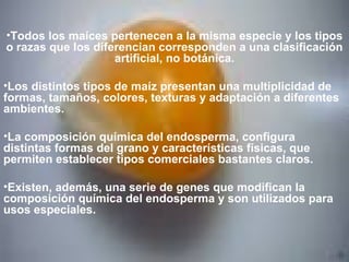 Todos los maíces pertenecen a la misma especie y los tipos o razas que los diferencian corresponden a una clasificación artificial, no botánica. Los distintos tipos de maíz presentan una multiplicidad de formas, tamaños, colores, texturas y adaptación a diferentes ambientes. La composición química del endosperma, configura distintas formas del grano y características físicas, que permiten establecer tipos comerciales bastantes claros. Existen, además, una serie de genes que modifican la composición química del endosperma y son utilizados para usos especiales.  