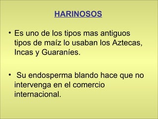 HARINOSOS   Es uno de los tipos mas antiguos tipos de maíz lo usaban los Aztecas, Incas y Guaraníes. Su endosperma blando hace que no intervenga en el comercio internacional. 