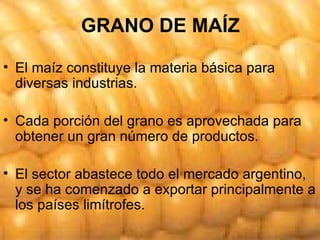 GRANO DE MAÍZ El maíz constituye la materia básica para diversas industrias. Cada porción del grano es aprovechada para obtener un gran número de productos. El sector abastece todo el mercado argentino, y se ha comenzado a exportar principalmente a los países limítrofes. 