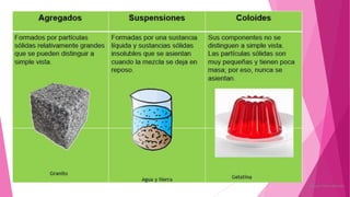 Rosario Ybarra Miranda
 