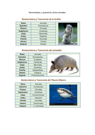 Nomenclatura y taxonomía de los animales.
 