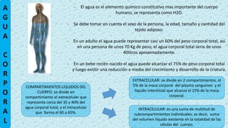 A
G
U
A
C
O
R
P
O
R
A
L
- El agua es el elemento químico constitutivo mas importante del cuerpo
humano, se representa como H2O.
- Se debe tomar en cuenta el sexo de la persona, la edad, tamaño y cantidad del
tejido adiposo.
- En un adulto el agua puede representar casi un 60% del peso corporal total, así
en una persona de unos 70 Kg de peso, el agua corporal total seria de unos
40litros aproximadamente.
- En un bebe recién nacido el agua puede alcanzar el 75% de peso corporal total
y luego existir una reducción a media del crecimiento y desarrollo de la criatura.
COMPARTIMIENTOS LIQUIDOS DEL
CUERPO: se divide en
compartimiento el extracelular que
representa cerca del 35 y 40% del
agua corporal total, y el intracelular
que forma el 60 a 65%.
INTRACELULAR: es una suma de multitud de
subcompartimientos individuales, es decir, suma
del volumen liquido existente en la totalidad de las
células del cuerpo.
EXTRACELULAR: se divide en 2 compartimientos, el
5% de la masa corporal del plasma sanguíneo y el
liquido intersticial que alcanza el 15% de la masa
corporal.
 