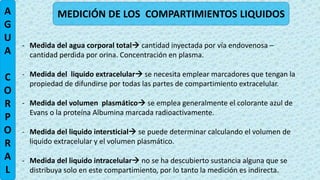 A
G
U
A
C
O
R
P
O
R
A
L
MEDICIÓN DE LOS COMPARTIMIENTOS LIQUIDOS
- Medida del agua corporal total cantidad inyectada por vía endovenosa –
cantidad perdida por orina. Concentración en plasma.
- Medida del liquido extracelular se necesita emplear marcadores que tengan la
propiedad de difundirse por todas las partes de compartimiento extracelular.
- Medida del volumen plasmático se emplea generalmente el colorante azul de
Evans o la proteína Albumina marcada radioactivamente.
- Medida del liquido intersticial se puede determinar calculando el volumen de
liquido extracelular y el volumen plasmático.
- Medida del liquido intracelular no se ha descubierto sustancia alguna que se
distribuya solo en este compartimiento, por lo tanto la medición es indirecta.
 