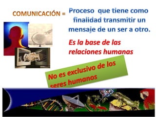 Es la base de las
relaciones humanas

 
