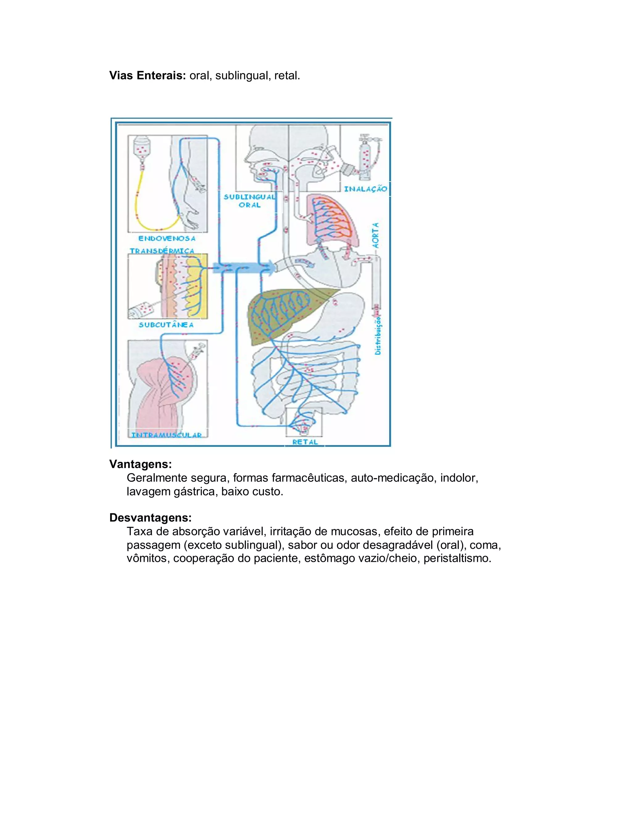 Vias Enterais: oral, sublingual, retal.




Vantagens:
  Geralmente segura, formas farmacêuticas, auto-medicação, indolor,
  lavagem gástrica, baixo custo.

Desvantagens:
  Taxa de absorção variável, irritação de mucosas, efeito de primeira
  passagem (exceto sublingual), sabor ou odor desagradável (oral), coma,
  vômitos, cooperação do paciente, estômago vazio/cheio, peristaltismo.
 