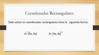 Coordenadas Rectangulares
Todo vector en coordenadas rectangulares tiene la siguiente forma:
A= (Ax, Ay) X= (Xx, Xy)
 