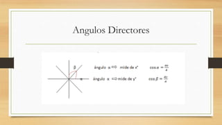 Angulos Directores
 