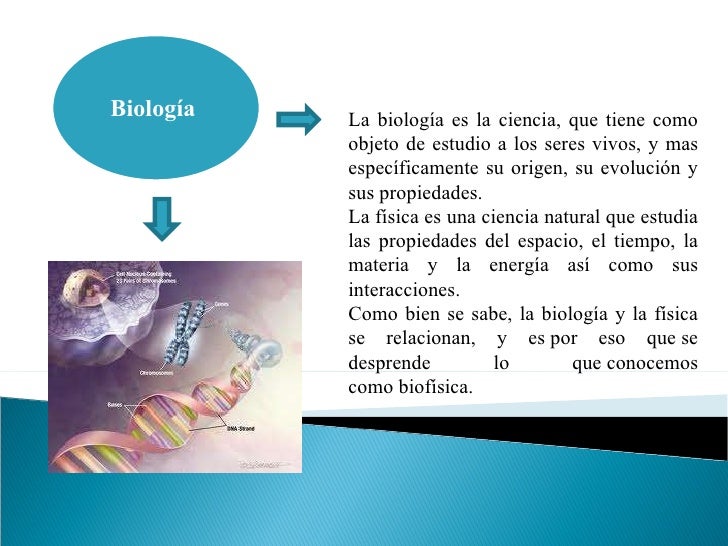 Naturaleza de la Física