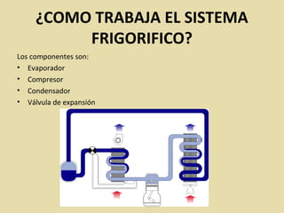 ¿COMO TRABAJA EL SISTEMA
FRIGORIFICO?
Los componentes son:
• Evaporador
• Compresor
• Condensador
• Válvula de expansión
 
