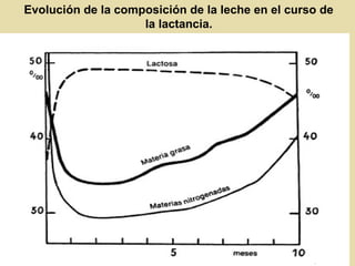 Evolución de la composición de la leche en el curso de
la lactancia.
 